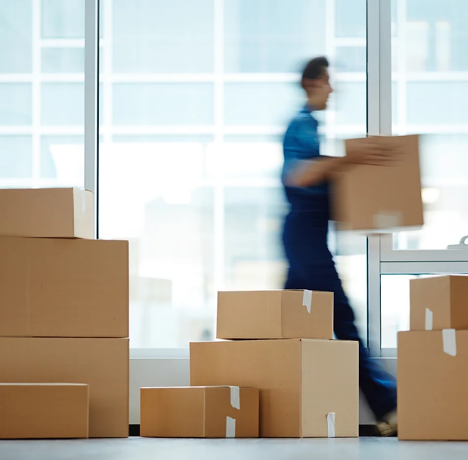 warehousebg